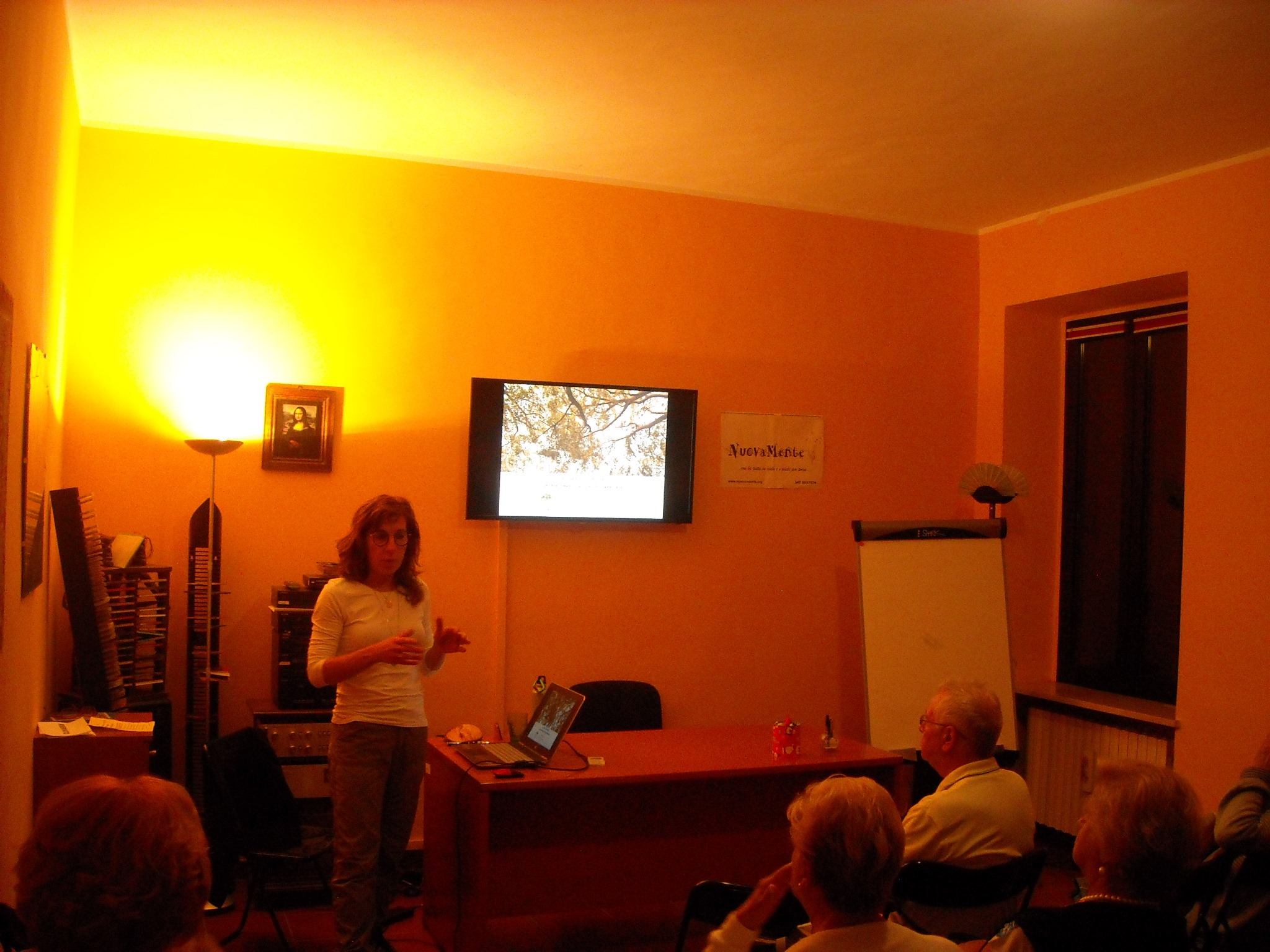 Silke, Volare e Potare