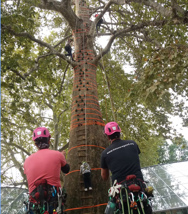 Attività a Strambino - Foto 1