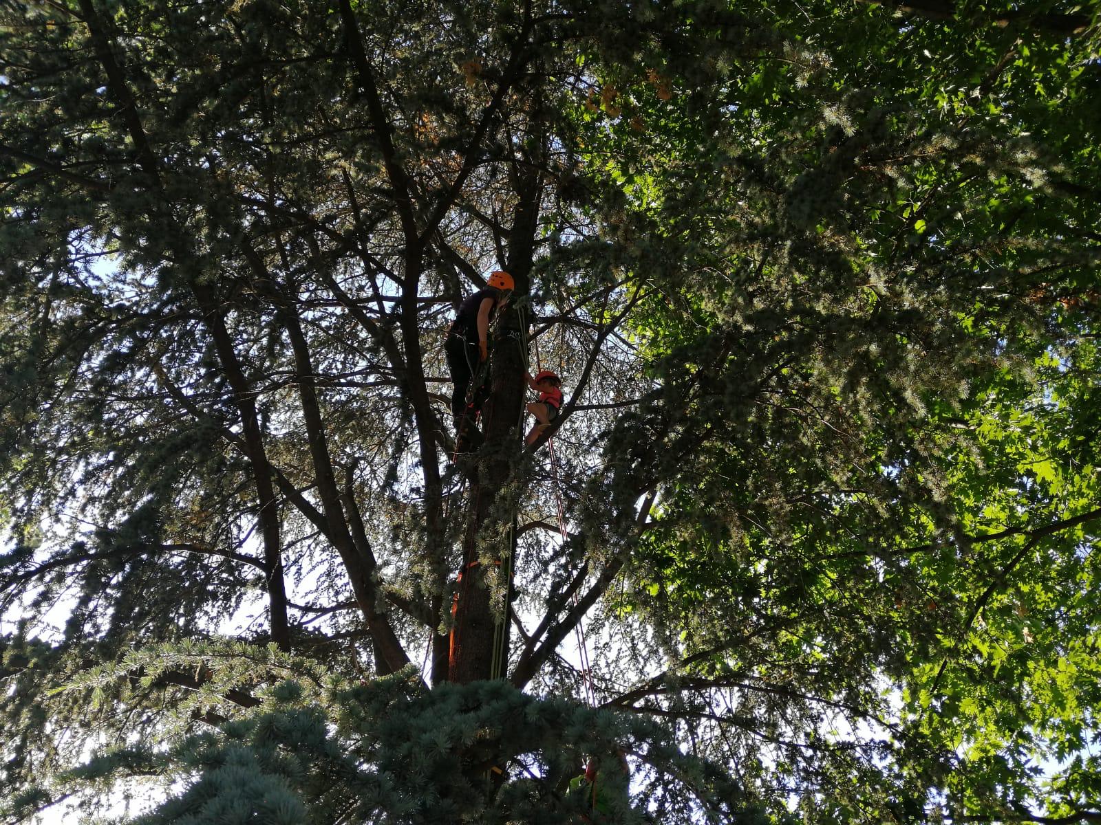 Attività a Strambino - Foto 2